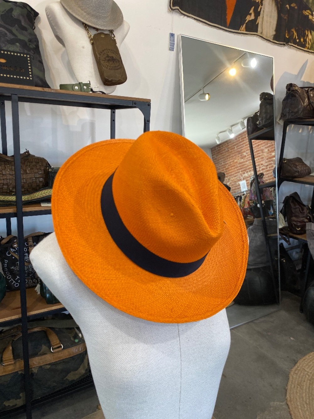 Frantic Panama in Carrot